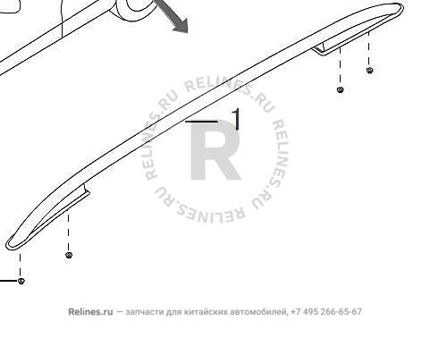 Luggage rack assy RH