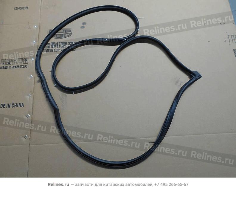 Assy,LF door weatherstrip - 507***200