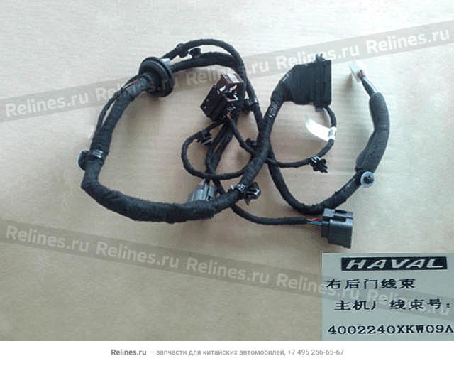 Harness assy RR door RH - 40022***W09A