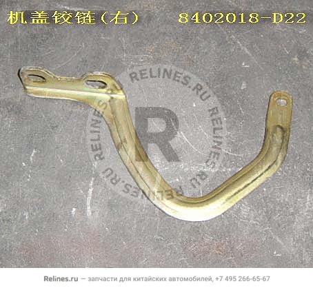 Hinge-engine hood RH - 8402***D22