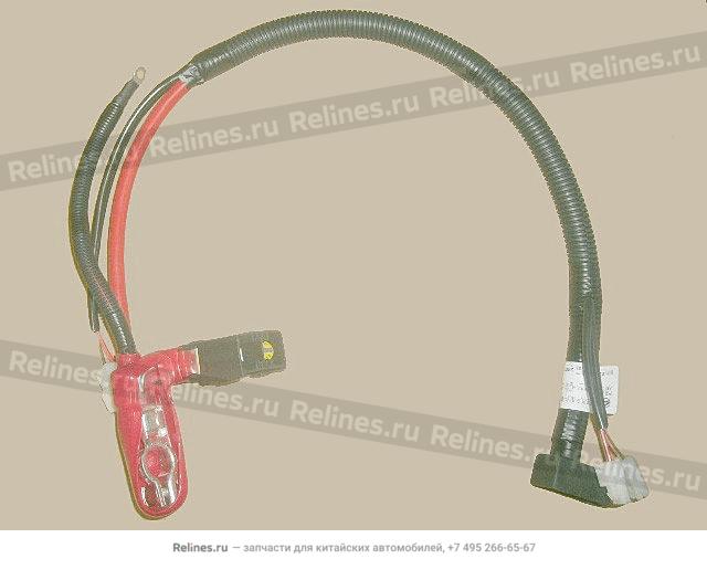 Batt anode harn assy(ieur III) - 4002***L02