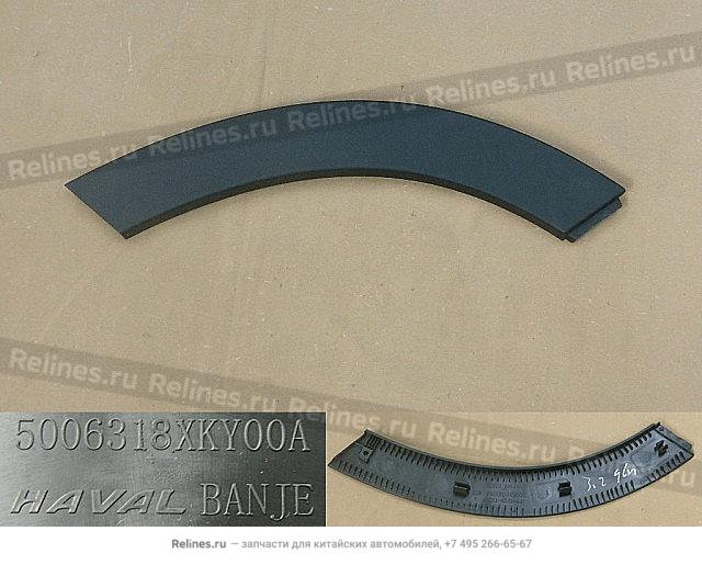 Wheel brow trim panel,RR RH door - 50063***Y00A