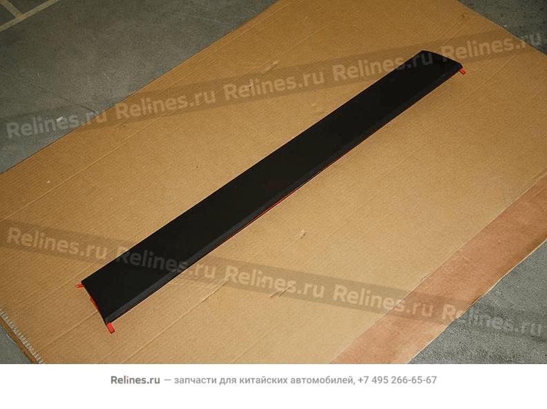 LR door rubbing strip assy. - 607***400