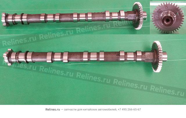 Air intake camshaft assy - 10061***D01-B