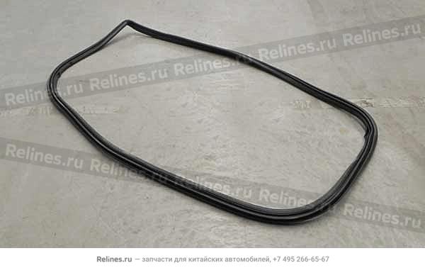 Weatherstrip - FR door LH - A18-***111