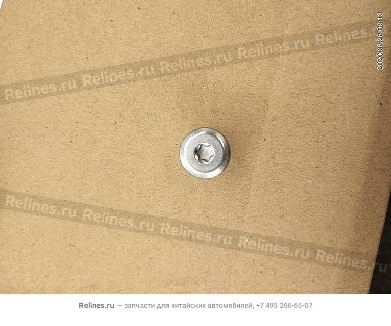 ESC fixing bolt