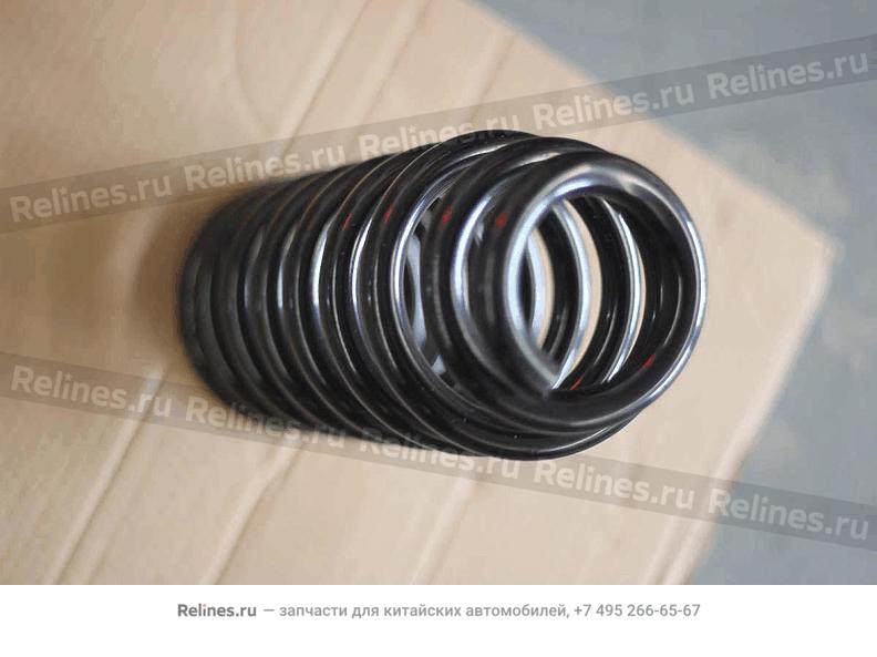 Front coil spring