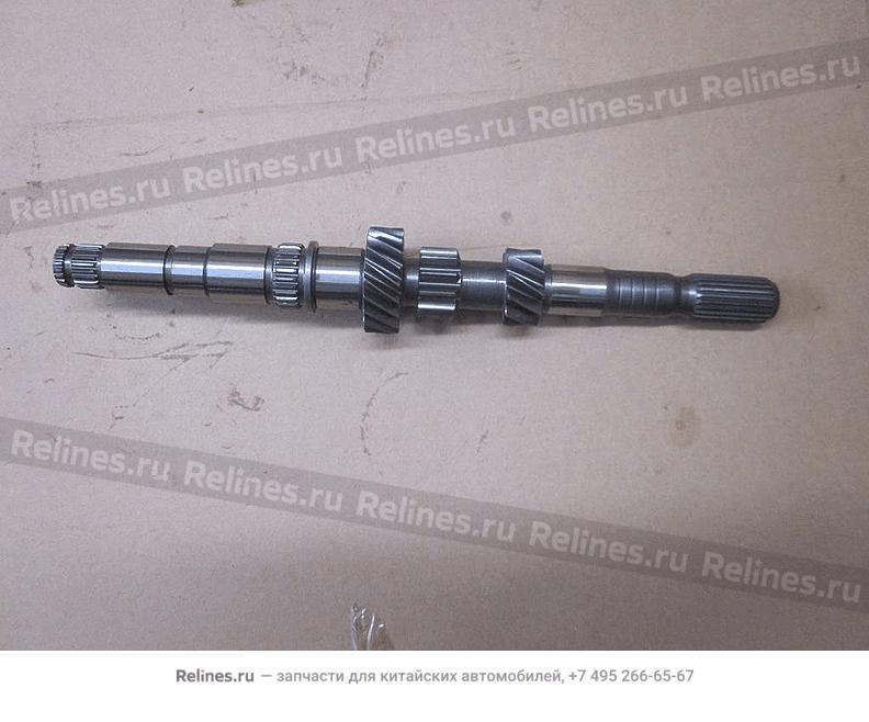 Input shaft - 301***001