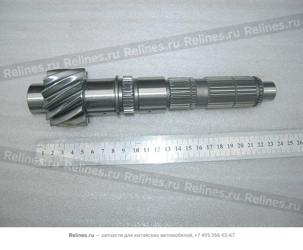 Output shaft