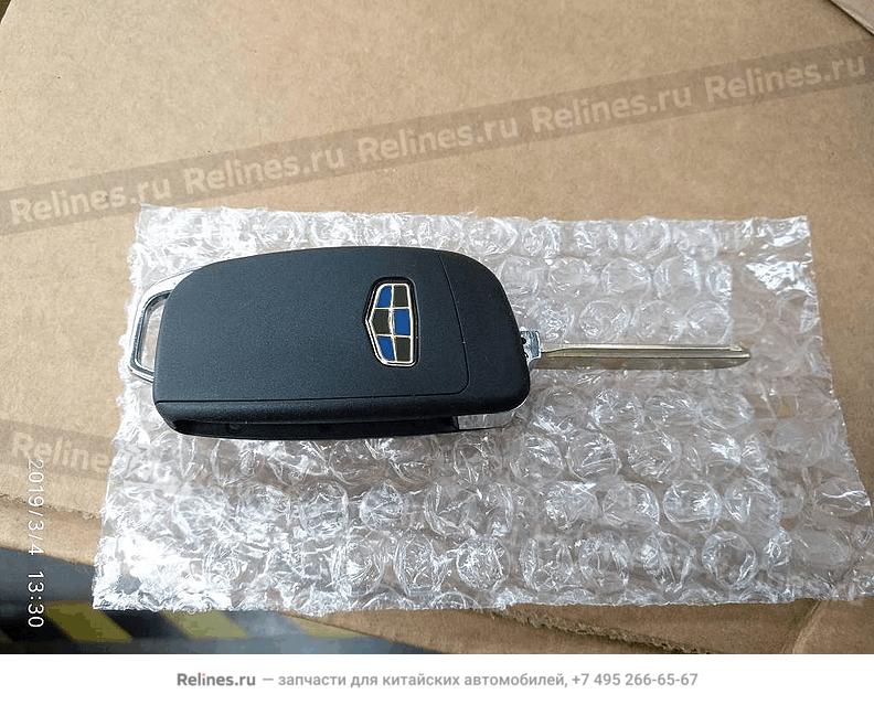 Remote control key assy - 101***850