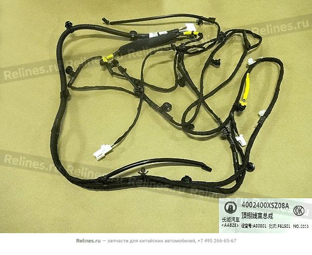 Roof harness assy - 40024***Z08A