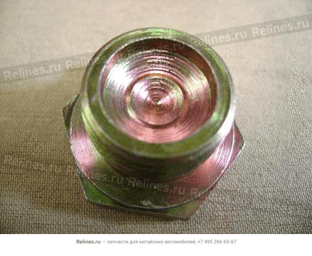 Hex plug(oil filler plug) - 17***8