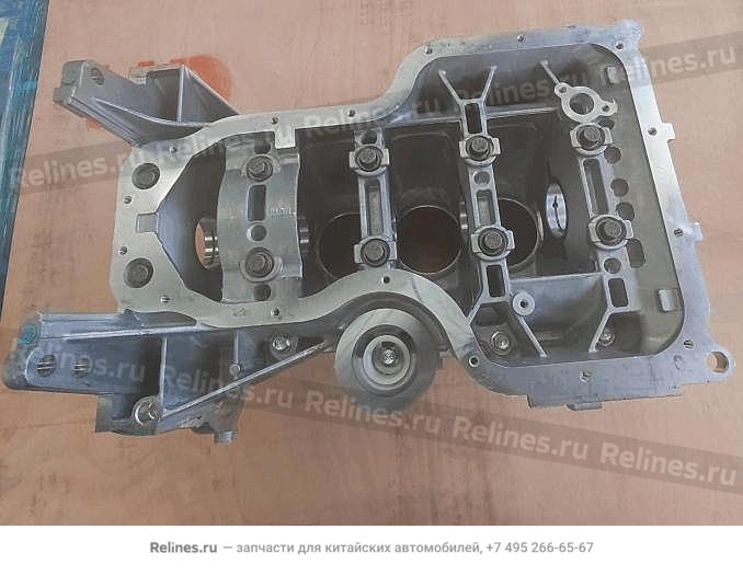 Cylinder_crankcase_assy