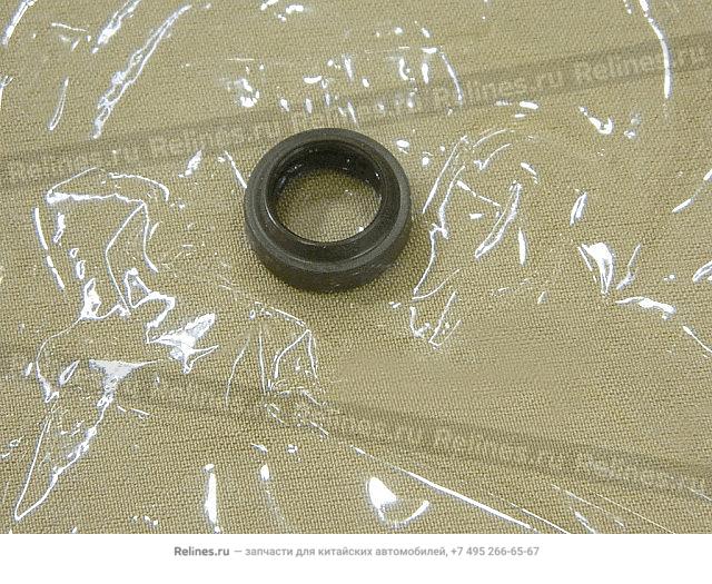 Shifting shaft oil seal - 170***31