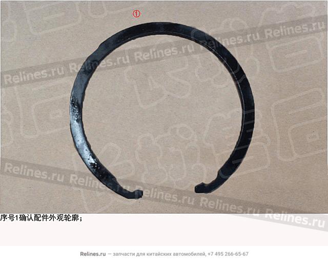 Retainer ring - 30011***08XA