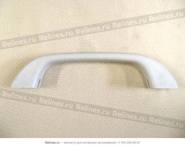 Roof handle assy(economic)