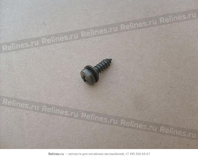 Cross slotted head screw & plain washer - Q220***F31