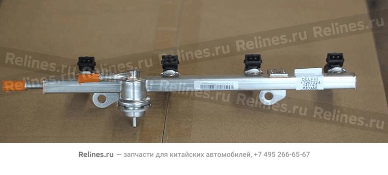 Fuel rail & injector sub-assy.(delph,int