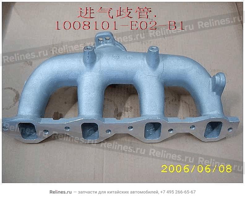 Air intake manifold - 10081***02-B1