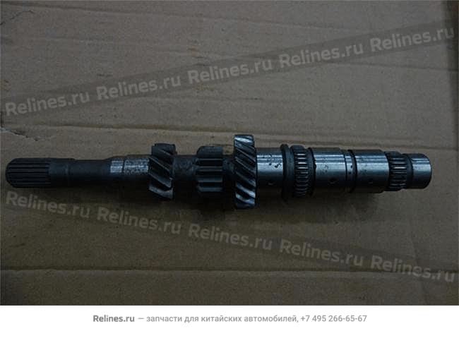 Input shaft - LF479Q1***1391E2