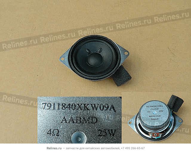 Mid speakers assy - 79118***W09A