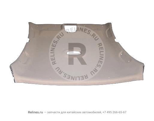 Roof panel assy - B11-5***10BC