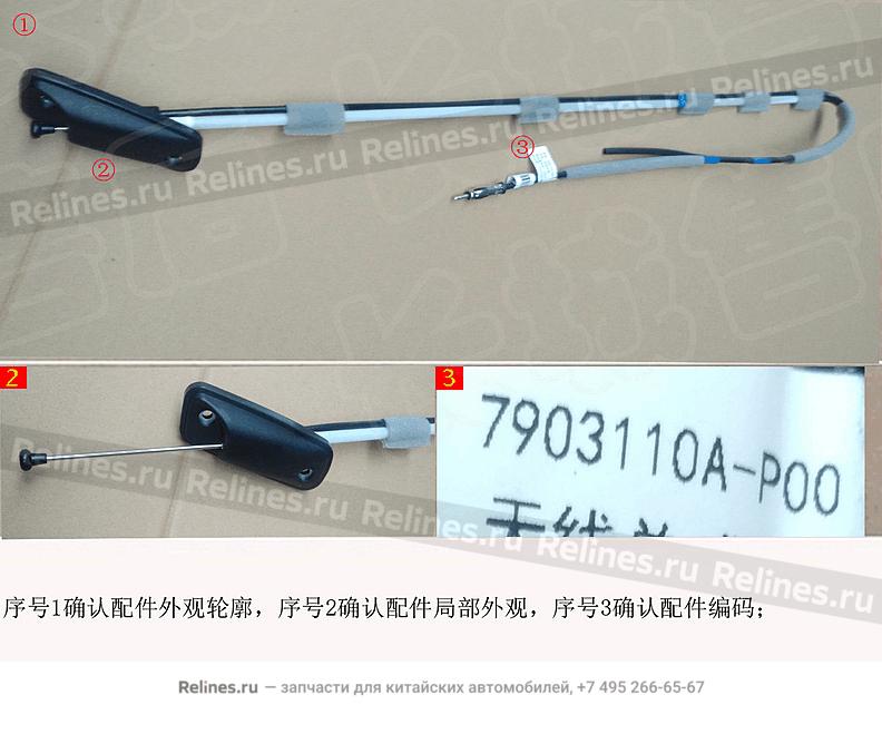 Antenna assy - 7903***-P00