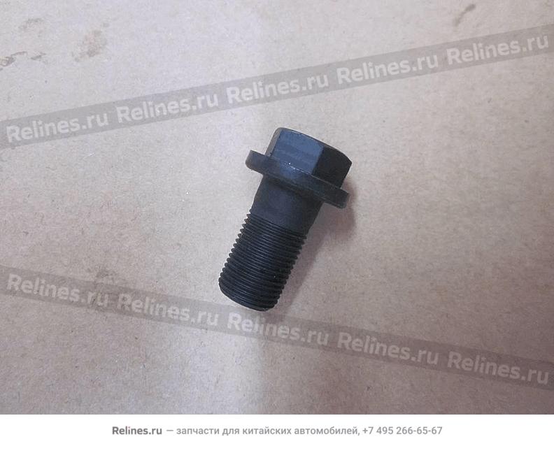 Bolt, differential - 301***020