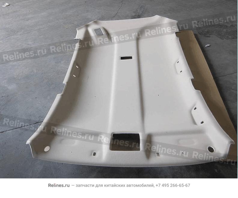 Interior trim board,roof panel - 101***514