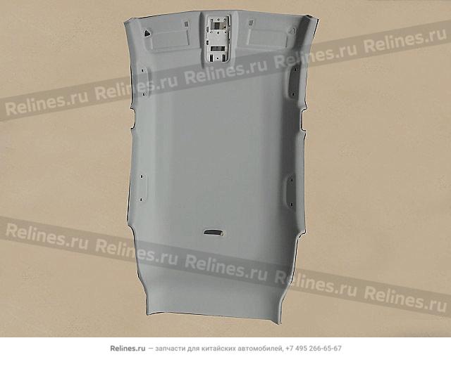 Roof panel assy - 570220***08AD4