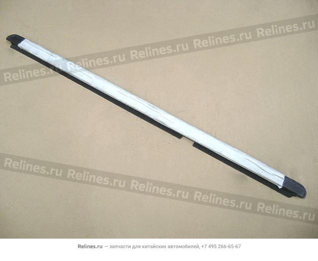 Otr weather strip-rr door RH(04)