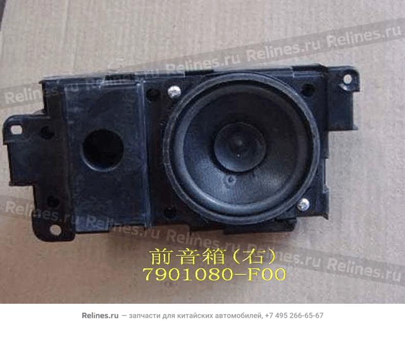 Front speaker assy RH