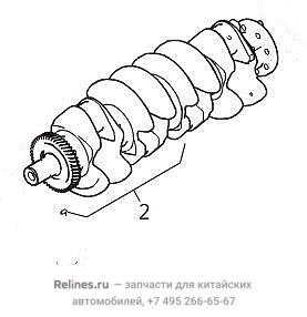 Crank shaft assy - 1005***ED61