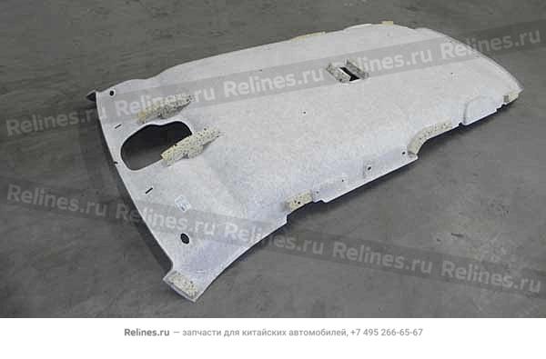 Ceiling assy