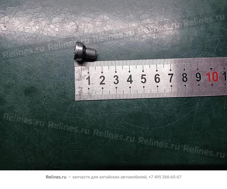 Пробка масляного поддона КПП