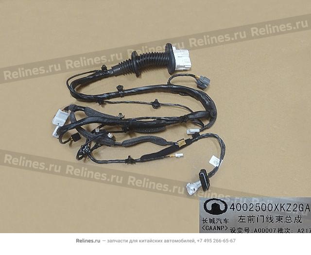 Wiring harness assy FR door LH - 40025***Z2GA