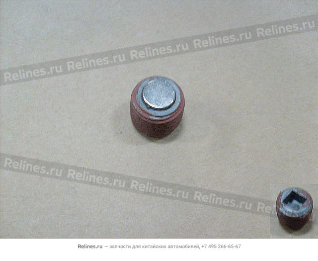 Oil filler plug - 2402***M18