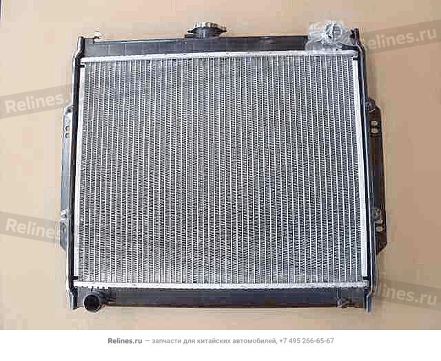 Radiator assy(Safe nose export cold plac - 13011***44-B1