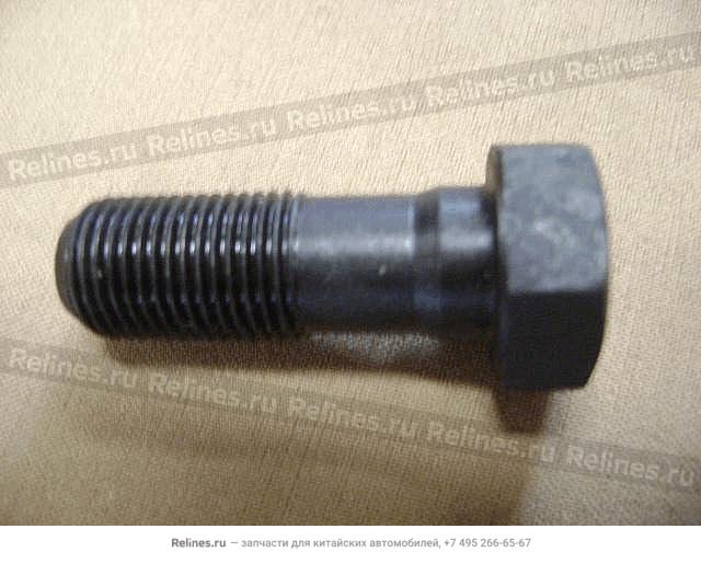 Bolt flywheel - 1005***E02