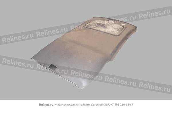 Ceiling assy - T11-5***10BD