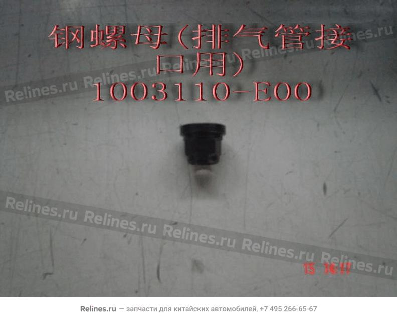 Nut(exhaust pipe end) - 1003***E00