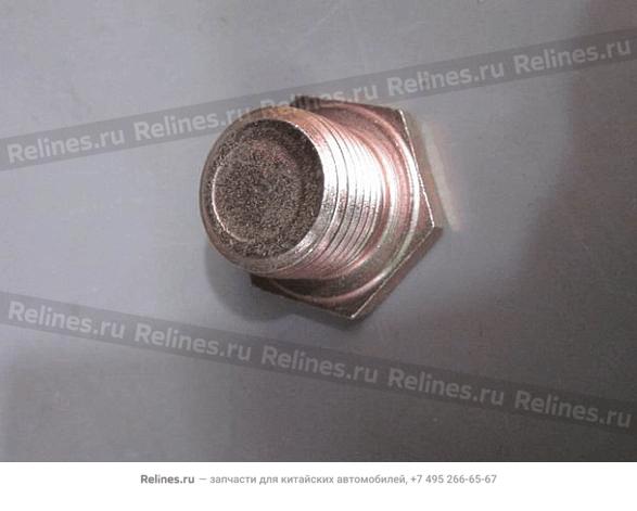 Drain plug - 301***574