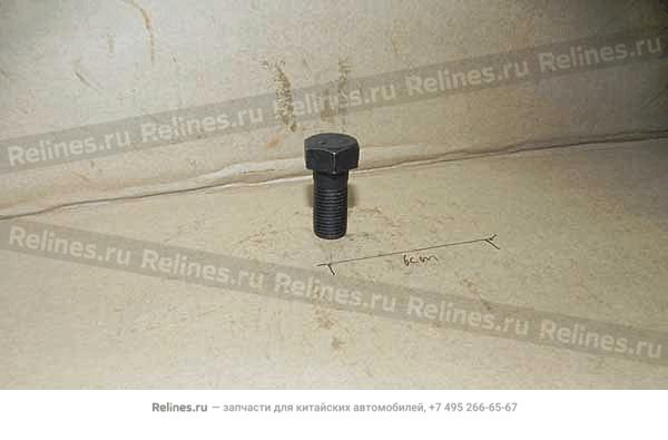 Fixing bolt