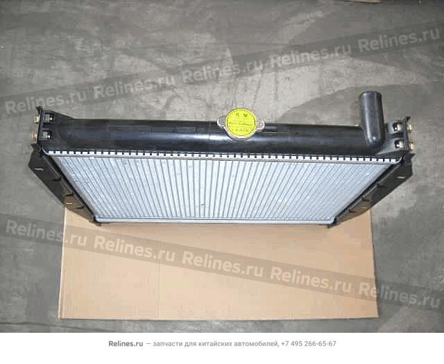 Radiator assy(Safe nose)