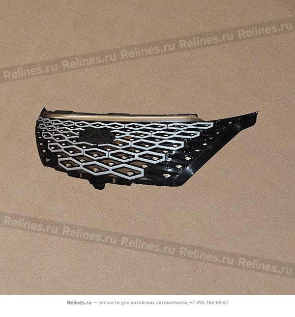 Aqua radiator grille assembly