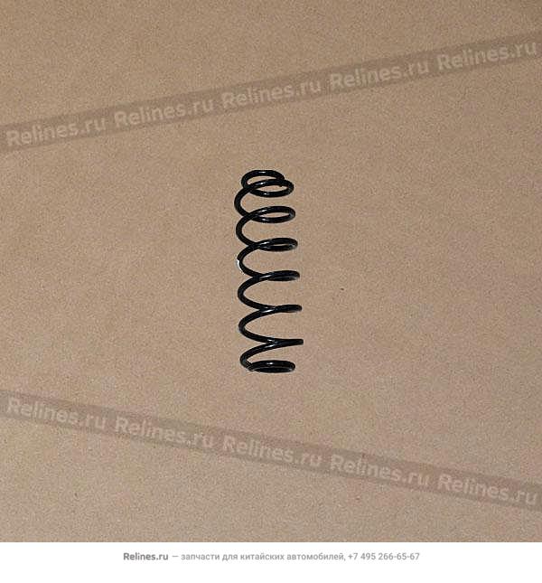 Rear spring - 2020***1AA