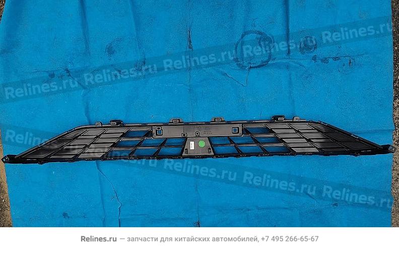 Решетка переднего бампера нижняя