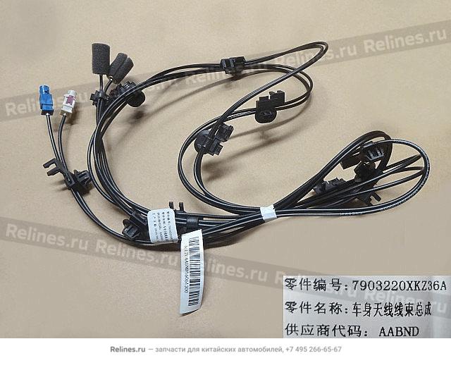 Harn assy-antenna - 79032***Z36A