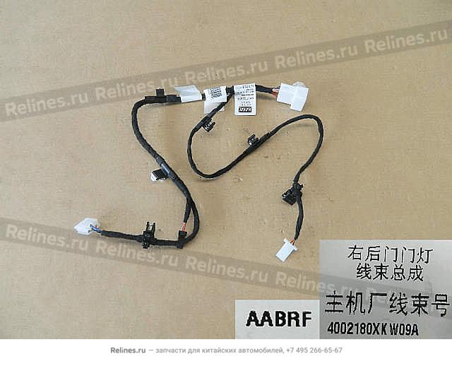 RR door lamp harness assy RH - 40021***W09A