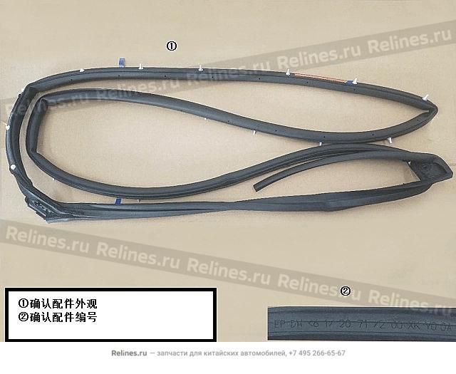 Seal strip assy RR door LH - 62071***Y00A